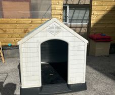 free dog box