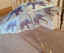 Kids Umbrella