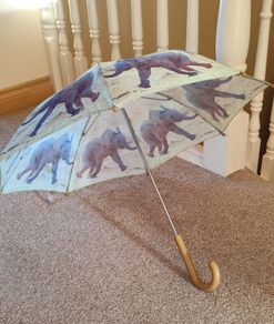 Kids Umbrella