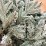 Beautiful 7ft Snow Flocked Christmas Tree Image 5