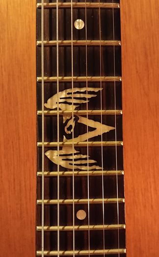 James Hetfield Vulture LTD by ESP
