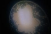 Night light projecting a fairy