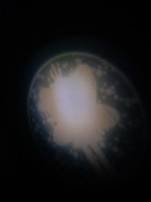 Night light projecting a fairy