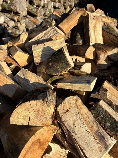 Firewood Kiln dried Beech and Ash.