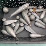 Fishing weights [Various weights/ styles] Image 3