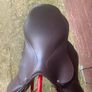 Pony Jumping Saddle  16in Selleria De Garda Image 5