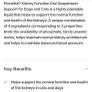 Pronefra Renal Supplement for Dogs / Cats Image 6