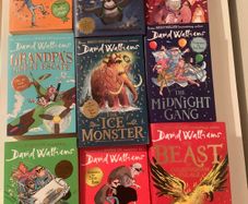 David Walliams Books Selection