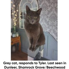 Reward Waiting
