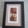 Unique artwork from Ocean Petals art studio are handmade with real Australian native fliowers Image 8