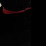 Jess Postman Pat's black and white cat (454)  1 Image 5