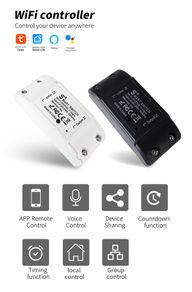 Tuya WiFi Smart Switch APP Wireless Controller Universal Breaker Timer Smart Life Work with LED Light Switch Alexa Accessories