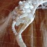 80s Vintage Bridal Crown Image 2