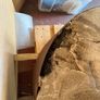 Wood Fired Pizza Oven Insulated Refractory Oven Image 5