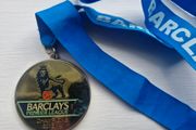 Barclays Premier League Medal 2014