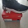 Adult trainers 4 pairs for sale Image 2