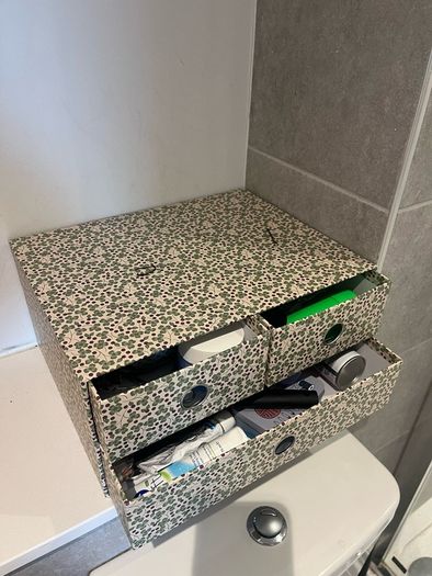 Organizer
