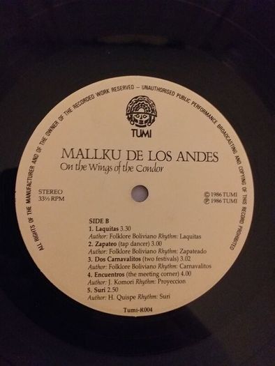 Mallku De Los Andes.