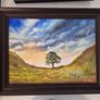 Sycamore Gap Tree Image 6