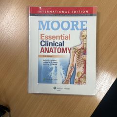 Essential Clinical Anatomy