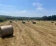Round bales of Hay