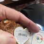 Rare Retired TY Beanie Baby- Champion Image 7