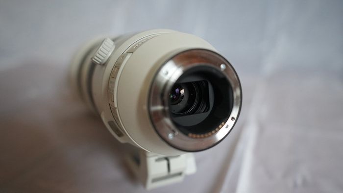 Sony FE 200-600mm f/5.6-6.3 G OSS Lens