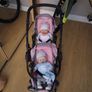 Twin Buggy Image 2