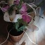 fibre optic flower light Image 2