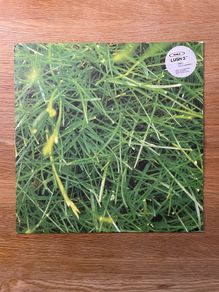 Orbital - Lush 3 - 12" Vinyl Single - 1993 Internal Records