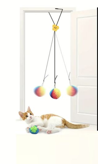 Cat Toy