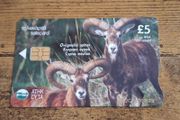 Cyprus Phonecard "Mouflon/Fox", used, 4/2002, 5 Cypriot Pound - free standard postage