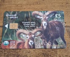 Cyprus Phonecard "Mouflon/Fox", used, 4/2002, 5 Cypriot Pound - free standard postage