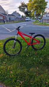 diamond back dirt groove dirt jumper