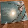 Richard Hawley - Hollow Meadows Image 2