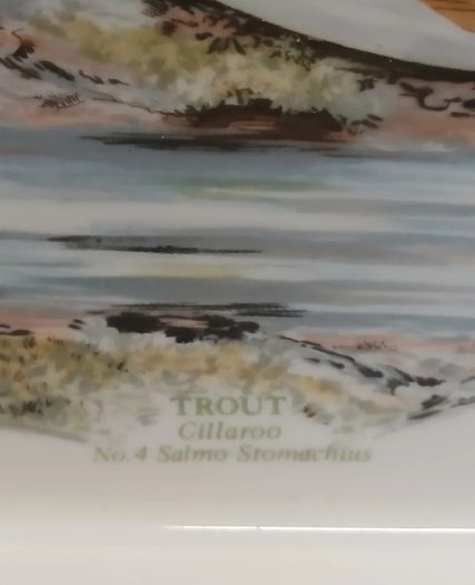 Portmeirion Gillaroo Trout dish