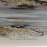 Portmeirion Gillaroo Trout dish Image 5