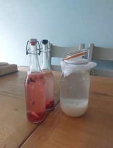 Water Kefir Grains