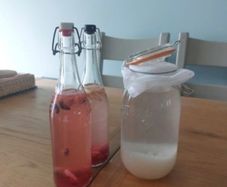 Water Kefir Grains