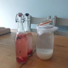 Water Kefir Grains