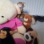 Free soft toys bundle Image 4