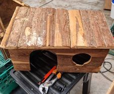 pet hide