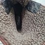 gabor brown boots leather/suade Size 8 eu 42 in excellent condition Image 10