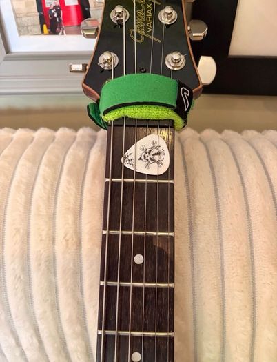 Line 6 James Tyler Jtv-59 (emg / Schaller Upgrades)