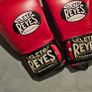 Cleto Reyes Boxing Gloves Image 5