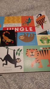 Lift the flap type baby book in very good condition