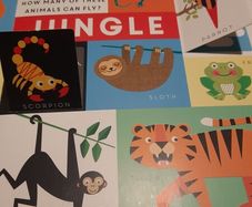 Lift the flap type baby book in very good condition
