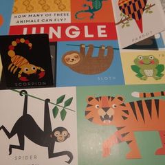 Lift the flap type baby book in very good condition