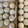 Two Dozen Used Golf Balls. Image 3