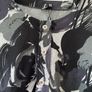 Izabel London ladies dress size 12 New without tags Image 3